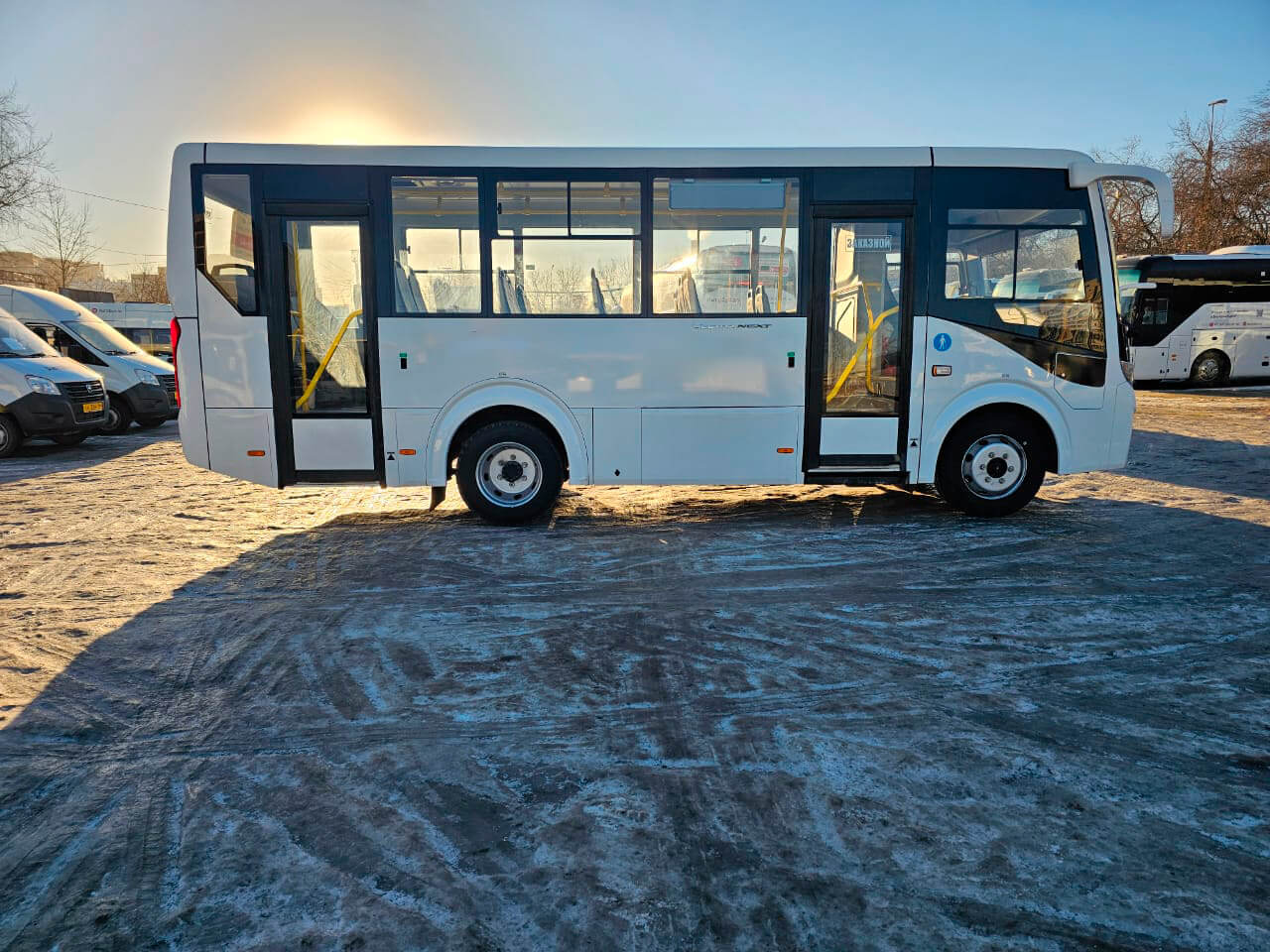 ПАЗ Вектор Next аренда